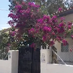 Ca Leo Ferienhaus *