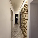 Ca Leo *